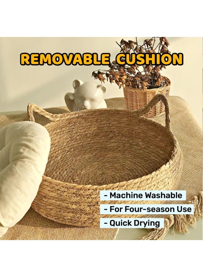 Zisheng Cat Bed Cat House – Rattan & Cotton Pet Bed for Indoor Cats Cat Accessories for Small Dogs 43x43x14 cm - Image 5