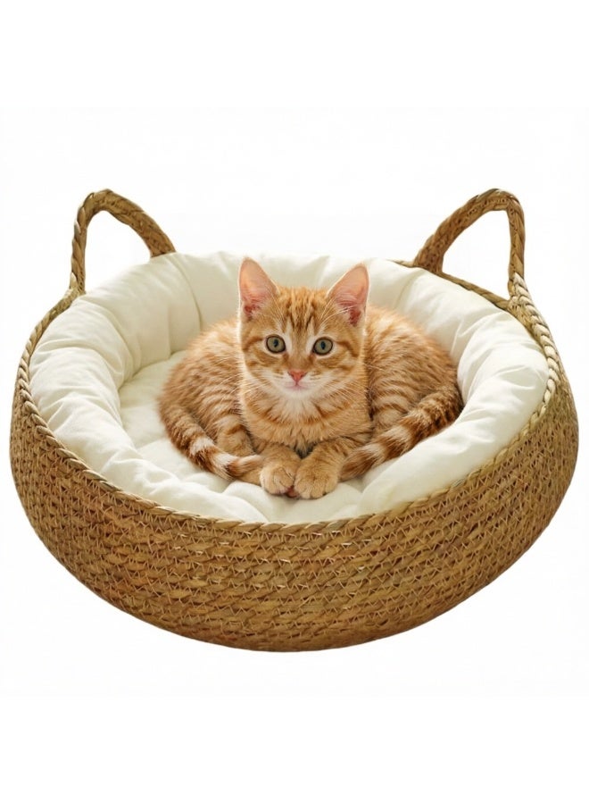Zisheng Cat Bed Cat House – Rattan & Cotton Pet Bed for Indoor Cats Cat Accessories for Small Dogs 43x43x14 cm - Image 1