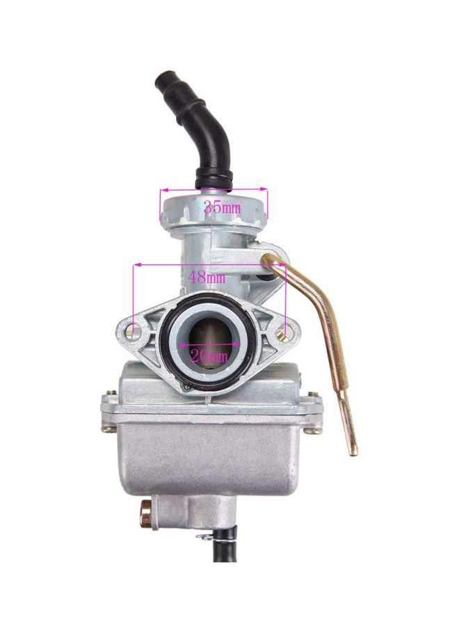 Loquat Carburetor Carb - Image 4