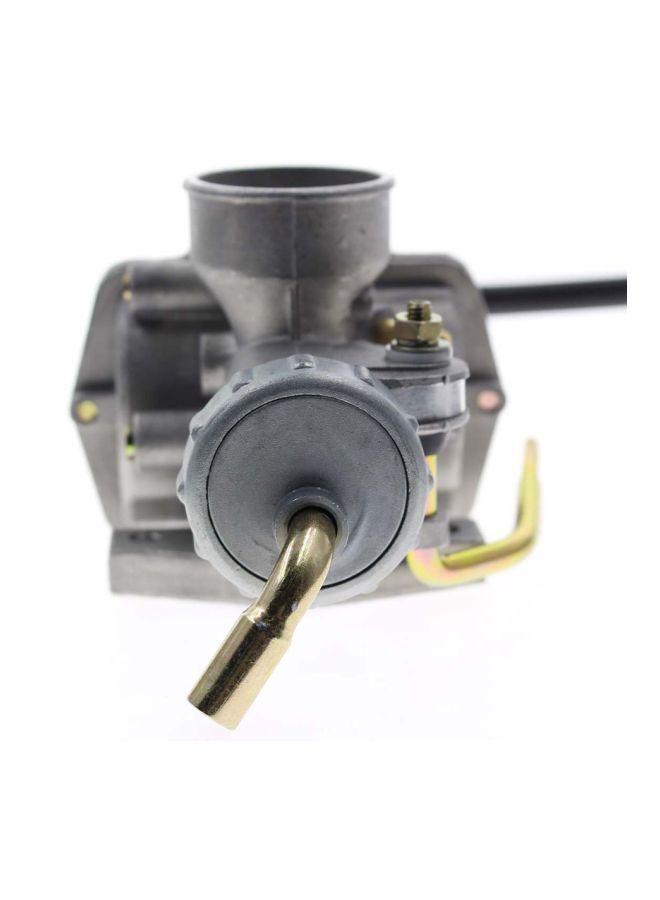 Loquat Carburetor Carb - Image 5