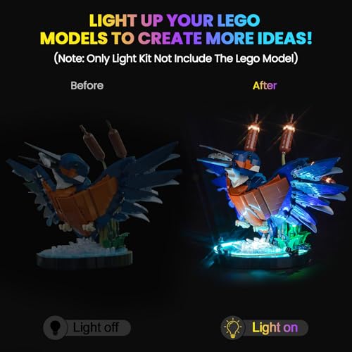 Hilighting Upgraded Led Light Kit Compatible with Lego Kingfisher Bird Building Set Lights Decoration Lego 10331 Model Not Included - Image 5