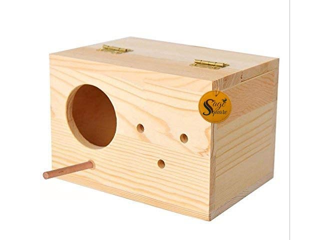 Sage Square صندوق تربية طبيعي للطيور متوسطة الحجم (الببغاوات، الكوكاتيل، إلخ) مع عارضة متصلة - Image 3