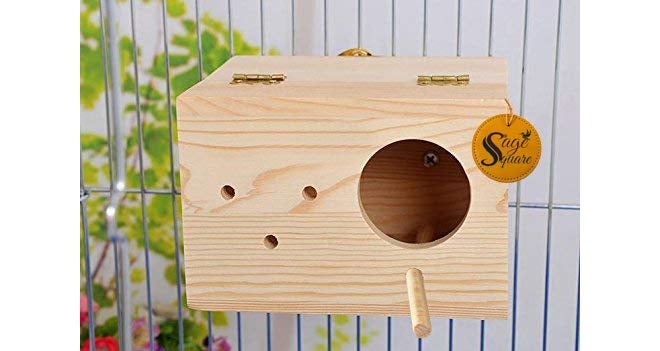 Sage Square صندوق تربية طبيعي للطيور متوسطة الحجم (الببغاوات، الكوكاتيل، إلخ) مع عارضة متصلة - Image 4