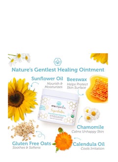 Era Organics USDA Certified Healing Ointment Organic Natural Gentle Moisturizer for Babies Rashes, Hives and More  - Image 2