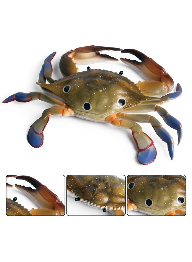 Realistic Animal Models Ocean Crabs Salty Crabs Hermit Sally Three-point Plastic Cognitive Toys-Color:KZ Mini Ocean 12 Set (Note Size) 0.09kg - Image 5