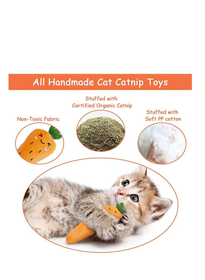KASTWAVE Cat Toys, Cat Chew Catnip Interactive Toy for Cat Lover Indoor Gift Cat Kitty Bite Toys Supplies Plush Gifts Fun Playing Toy - Image 3