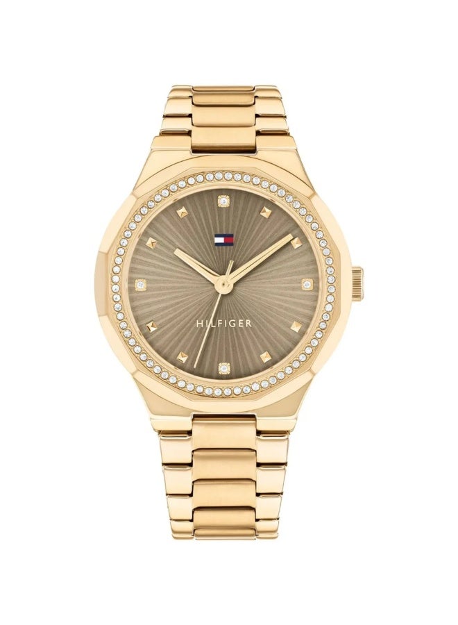 Tommy Hilfiger Women’s Piper Gold Stainless Steel Watch – Brown Dial Elegant Design | Model 1782725 - Image 1