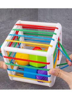 Generic Montessori Toys for 1 Year Old, Cube Bin & 6 Sensory Shape Blocks, Baby Toys 12-18 Months, Developmental Gifts for Toddler Age 1 2 3  - Image 4