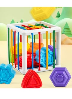 Generic Montessori Toys for 1 Year Old, Cube Bin & 6 Sensory Shape Blocks, Baby Toys 12-18 Months, Developmental Gifts for Toddler Age 1 2 3  - Image 3