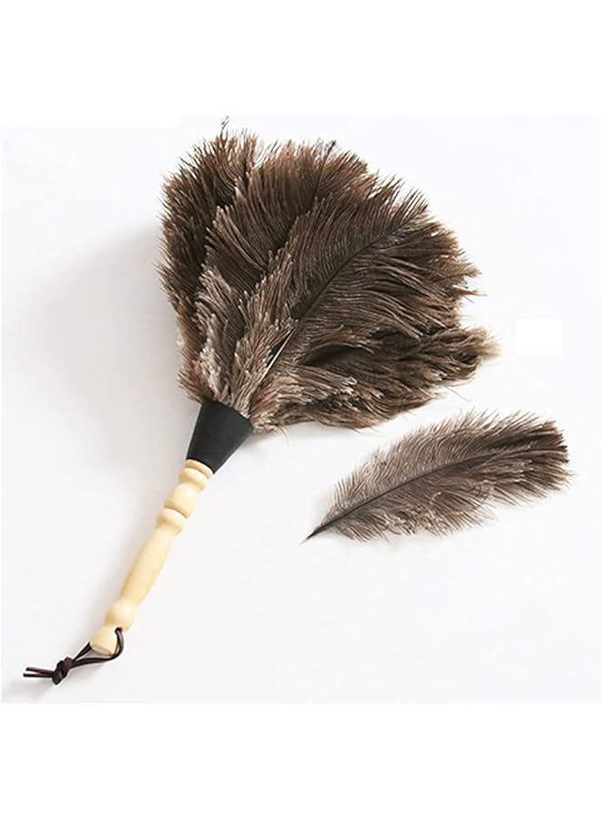 promass Ostrich Feather Duster, Household Dust Removal Tool with Wooden Handle, Quality Genuine Ostrich Feather Duster. (short (12.6 inch)) - Image 1