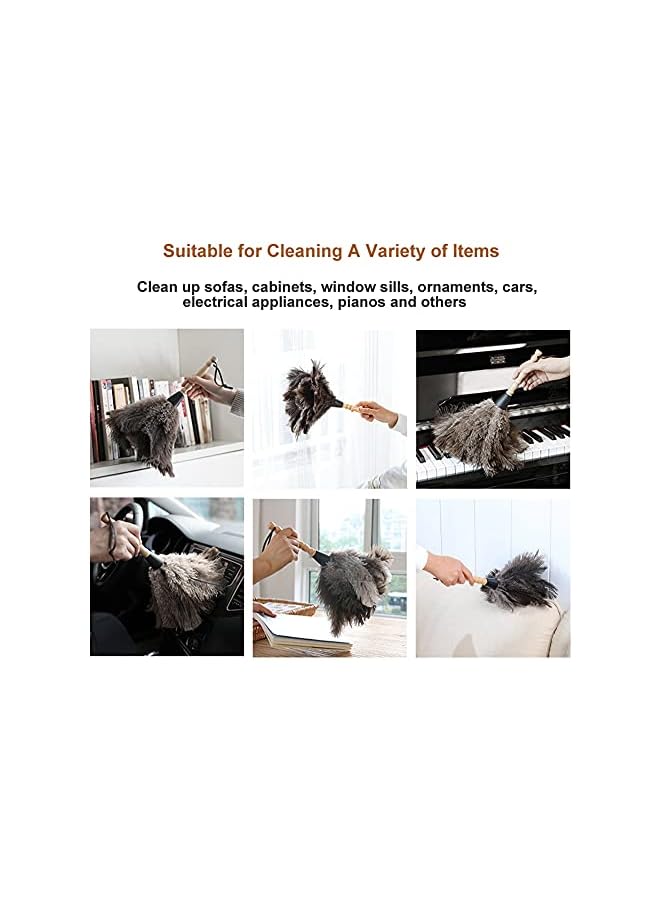 promass Ostrich Feather Duster, Household Dust Removal Tool with Wooden Handle, Quality Genuine Ostrich Feather Duster. (short (12.6 inch)) - Image 5