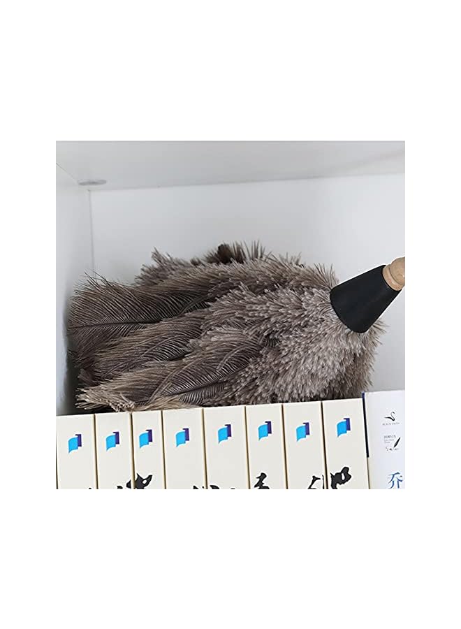 promass Ostrich Feather Duster, Household Dust Removal Tool with Wooden Handle, Quality Genuine Ostrich Feather Duster. (short (12.6 inch)) - Image 4