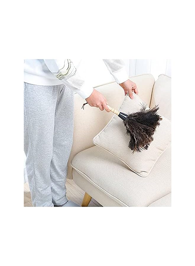 promass Ostrich Feather Duster, Household Dust Removal Tool with Wooden Handle, Quality Genuine Ostrich Feather Duster. (short (12.6 inch)) - Image 3