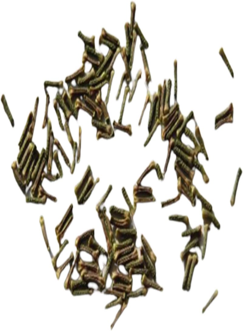 GGOOT 100Pcs/Bag Verbena Seeds, Heat Tolerant Fragrant Mixed Colors Verbena Hybrida Flower Seeds for Yard - Mix Color Verbena Seeds - Image 5