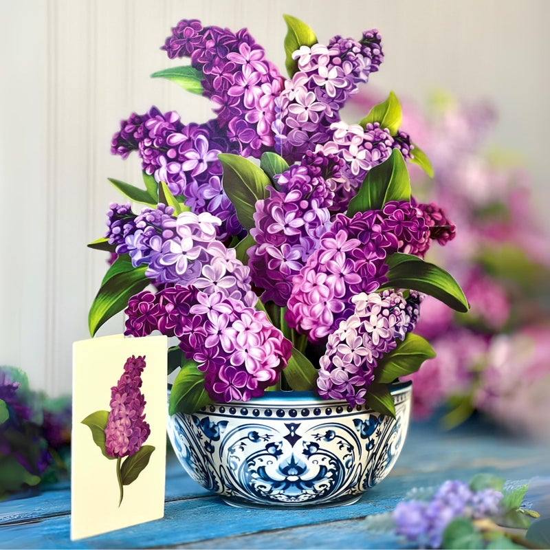 Freshcut Paper Pop Up Cards, Garden Lilacs, 12 Inch Life Sized Forever Flower Bouquet 3D Popup Greeting Card, Birthday Cards, Thank You Card, Blank Notecard & Envelope - Image 3