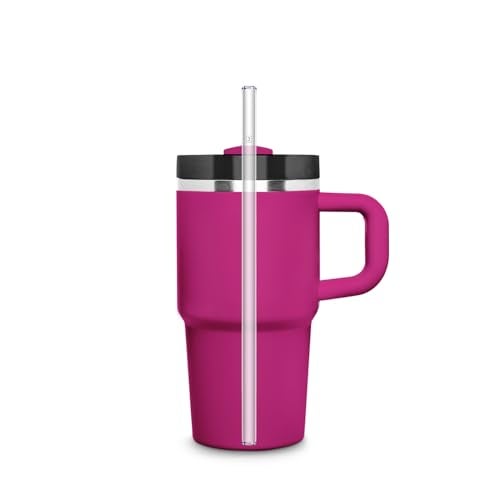 HÃ–LM Halm 6 Pack Stanley 20oz 14oz Replacement Straws for Quencher Cup Tumbler Glass Straw 85 inch PlasticFree Cleaning Brush Clear Reusable Dishwasher Safe Made in Germany - Image 3