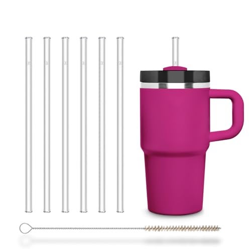 HÃ–LM Halm 6 Pack Stanley 20oz 14oz Replacement Straws for Quencher Cup Tumbler Glass Straw 85 inch PlasticFree Cleaning Brush Clear Reusable Dishwasher Safe Made in Germany - Image 1
