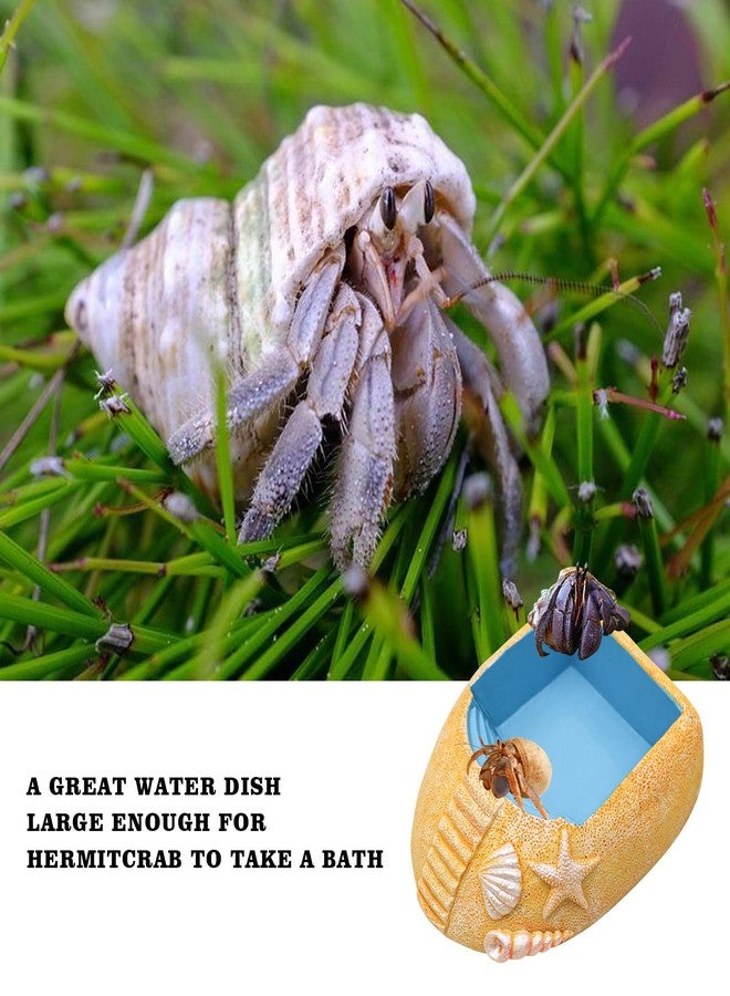 Neeenn Hermit Crab Water Pool with Climbing Ramp, Resin Hermit Crab Habitat, Hermit Crab Supplies, Aquarium Tank Cage Accessories for Small to Medium Hermit Crab Turtle - Image 5