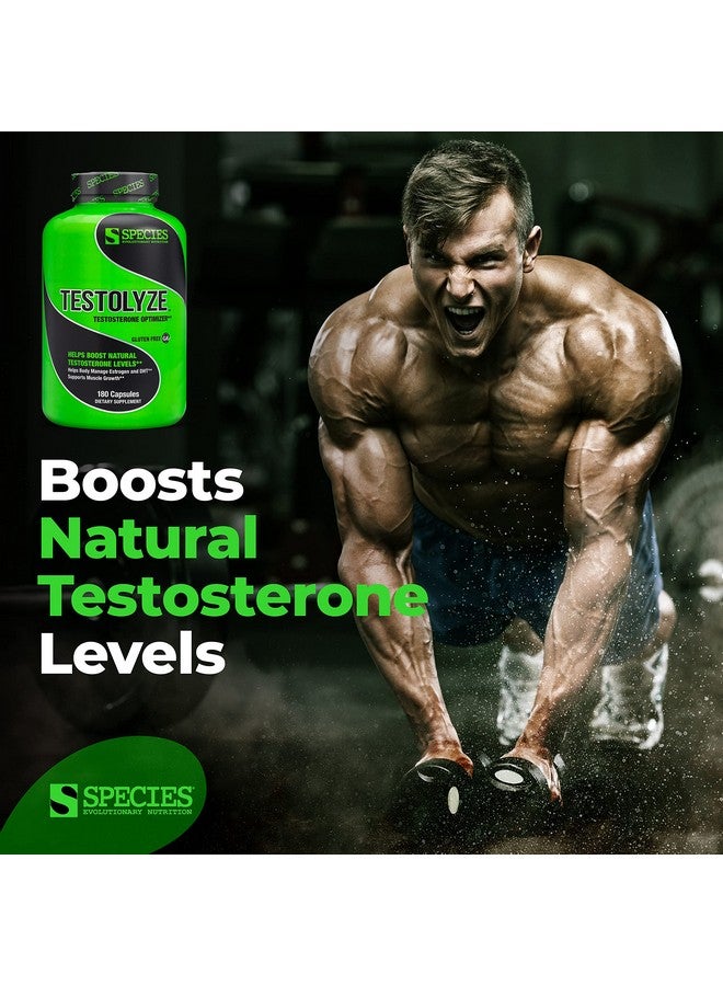 Species Nutrition Testolyze Natural Testosterone Booster, Made with 1250mg Tribulus, DIM, Indole 3 Carbinol, Saw Palmetto, T Booster, Supplement for Bodybuilding, Increased Libido 180 Caps - Image 2