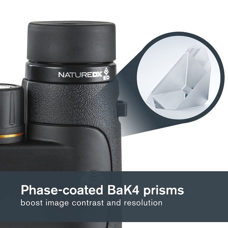 Celestron Celestron–Nature DX ED 8x42 Premium Binoculars –Extra-Low Dispersion Objective Lenses –Outdoor and Birding Binocular–Fully Multi-Coated with BaK-4 Prisms–Rubber Armored – Fog & Waterproof Binoculars  - Image 5