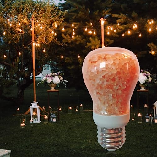 Himalayan Glow Salt Light Bulbs 60-Watt Equivalent, Warm Amber Glow, 7 watts, 2 Count (Pack of 1) - Image 4