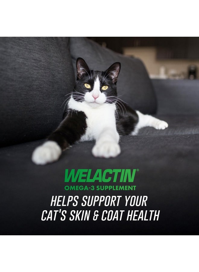 Nutramax Laboratories Nutramax Welactin Omega-3 Fish Oil Skin and Coat Health Supplement Liquid for Cats - 4 Ounce  - Image 2