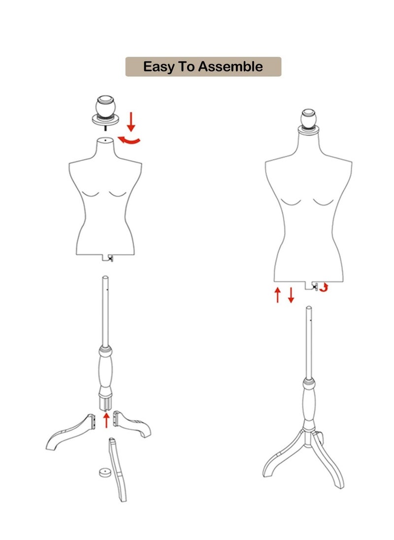 Female Dress Form Mannequin Torso Adjustable Height Mannequin Body with Tripod Stand for Clothing Dress Jewelry Display, Brown - pzsku/ZC311178BB4A2BC7058D2Z/45/_/1693058583/604ab791-4579-47c2-b185-83d9d205f6d8