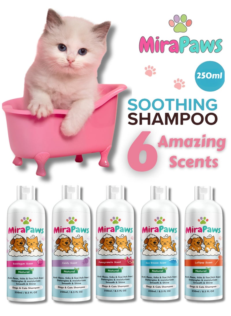 MiraPaws Pets Shampoo - Candy Scent 250ml - Image 5