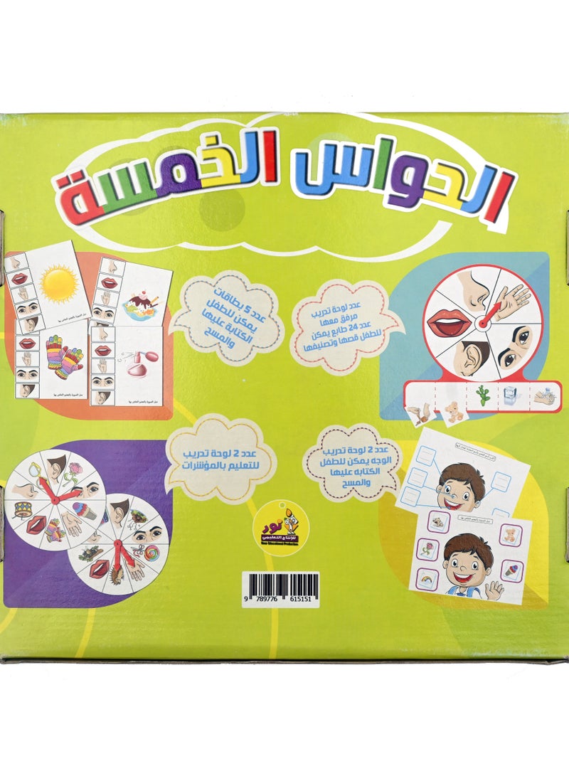 نور الحواس الخمسة - Image 5