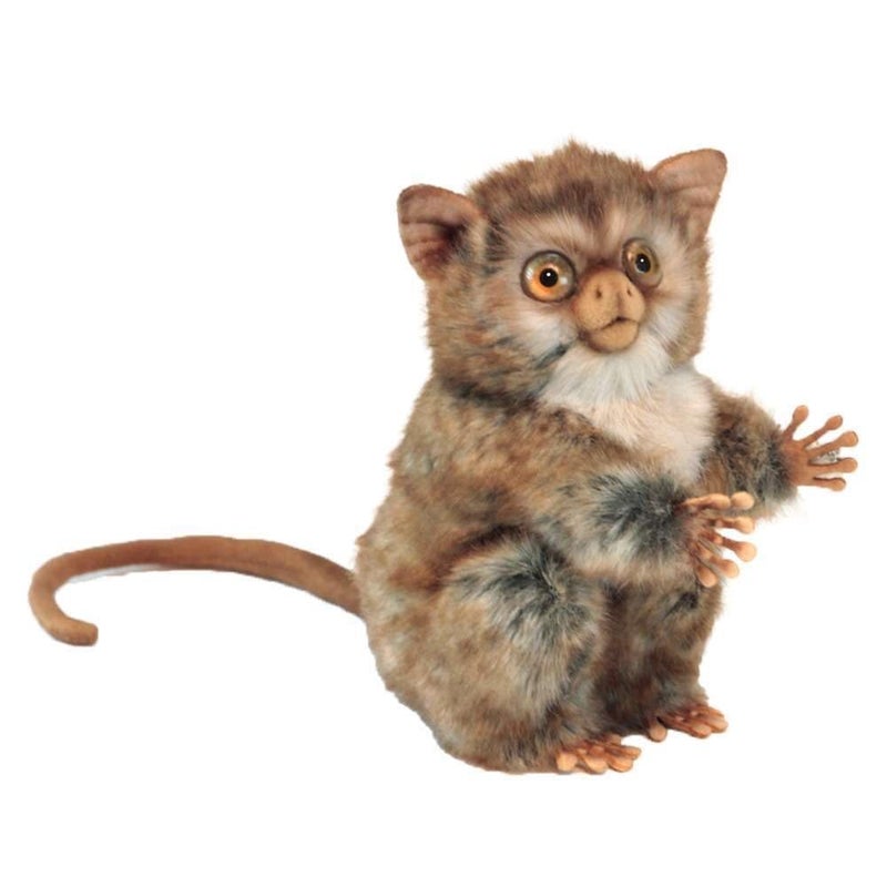 HANSA Tarsier - Image 2