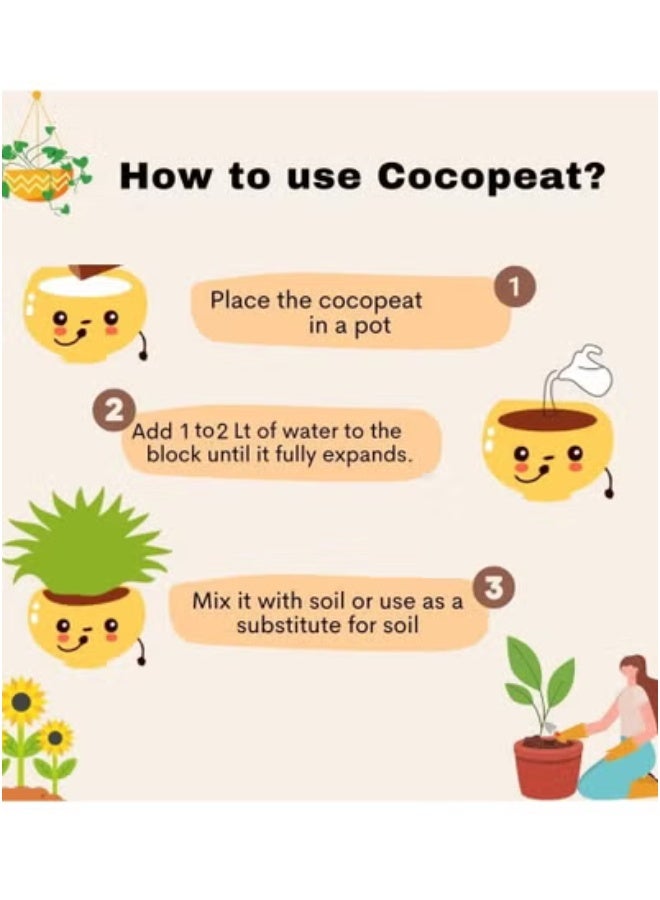 vsell24 3 kg Bio Loose Cocopeat For Indoor And Outdoor Plants High Quality Medium Growing Coco Peat Made In UAE - Image 5