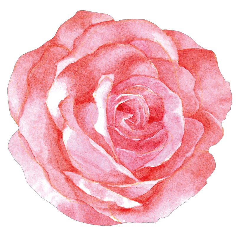 Teling Teling 100 Packs Pink Flower Disposable Placemats 13 Inch Spring Summer Floral Paper Placemats for Bridal Baby Shower Birthday Party Supplies 
