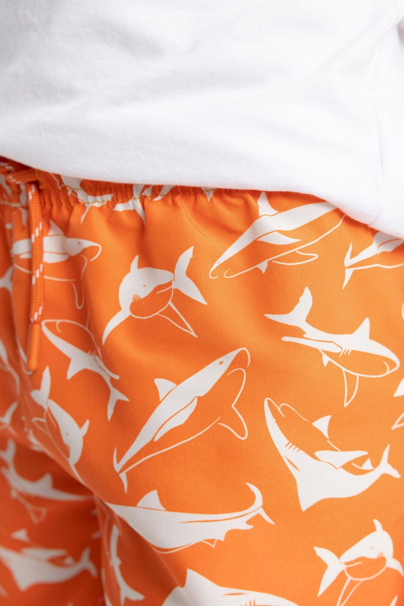 DeFacto Boy Shark Swim Shorts  - Image 4
