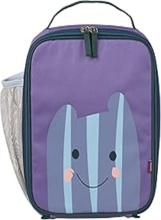 insulated lunch bag