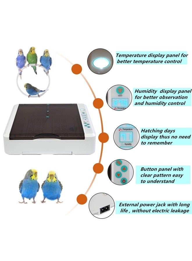 36 Eggs Incubator Fully Automatic Digital Poultry Hatching Machine, Temperature Control u0026 Humidity Control u0026 Automatic Egg Turner,Clear Hatching for Chicken, Ducks, Geese, eons Eggs  - Image 3