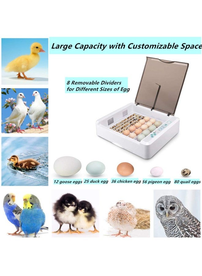 36 Eggs Incubator Fully Automatic Digital Poultry Hatching Machine, Temperature Control u0026 Humidity Control u0026 Automatic Egg Turner,Clear Hatching for Chicken, Ducks, Geese, eons Eggs  - Image 2