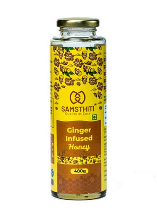 Ginger Infused Honey, Organic Herbal Nectar, 100% Raw Natural Honey with Ginger Extract, No Added Sugar or Preservatives, Ayurvedic Immunity Booster, Natural Sweetener for Cough, Digestion, Cold & Wellness – 480g - pzsku/ZC31C291F68E11675E1AFZ/45/1751522276/9c67dfad-1350-40da-8e9e-05d35bc6506c
