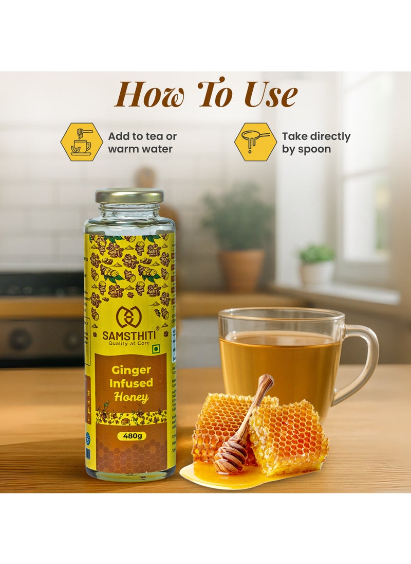 Ginger Infused Honey, Organic Herbal Nectar, 100% Raw Natural Honey with Ginger Extract, No Added Sugar or Preservatives, Ayurvedic Immunity Booster, Natural Sweetener for Cough, Digestion, Cold & Wellness – 480g