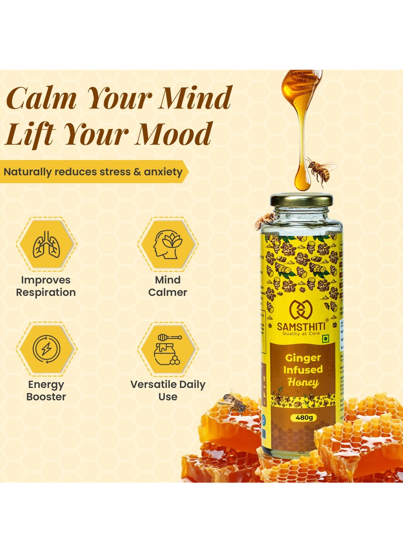 Ginger Infused Honey, Organic Herbal Nectar, 100% Raw Natural Honey with Ginger Extract, No Added Sugar or Preservatives, Ayurvedic Immunity Booster, Natural Sweetener for Cough, Digestion, Cold & Wellness – 480g