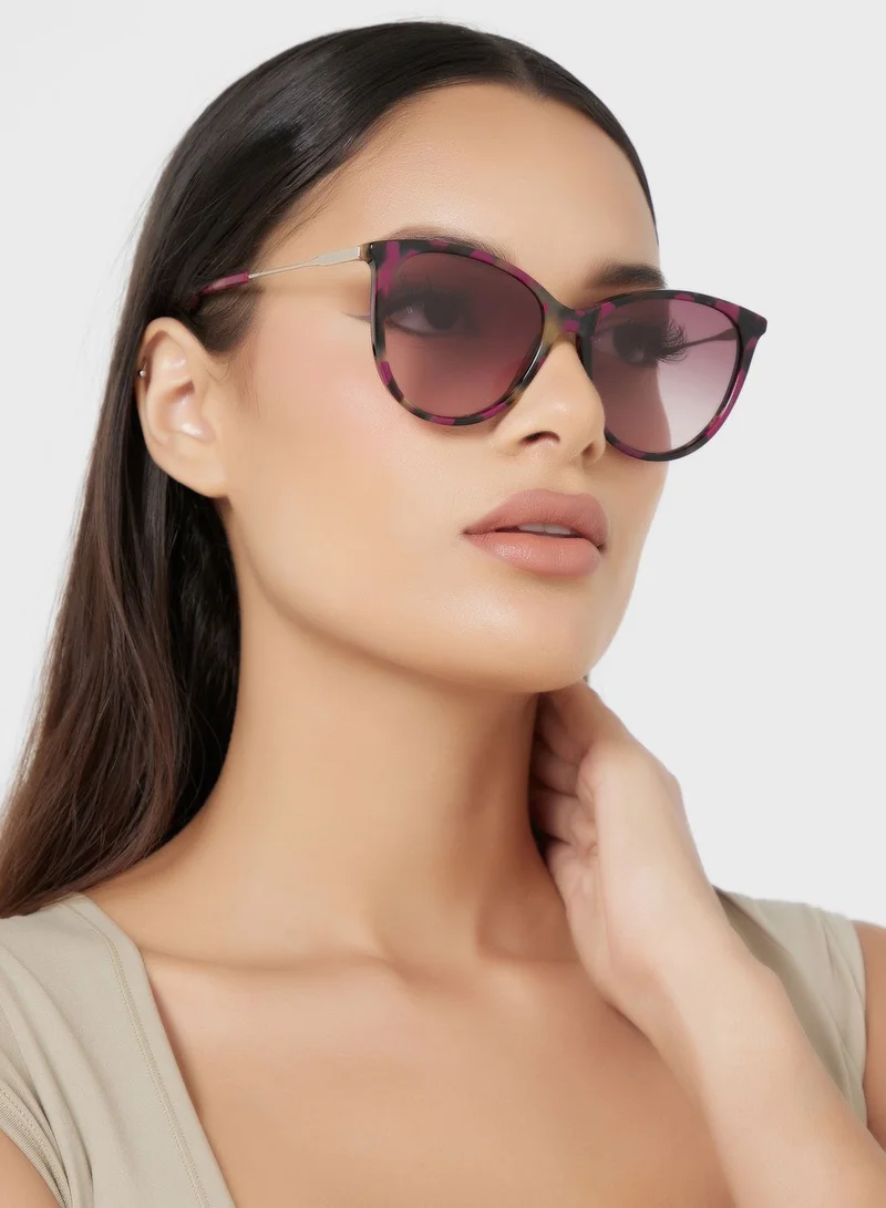 Longchamp Wayfarer Sunglasses