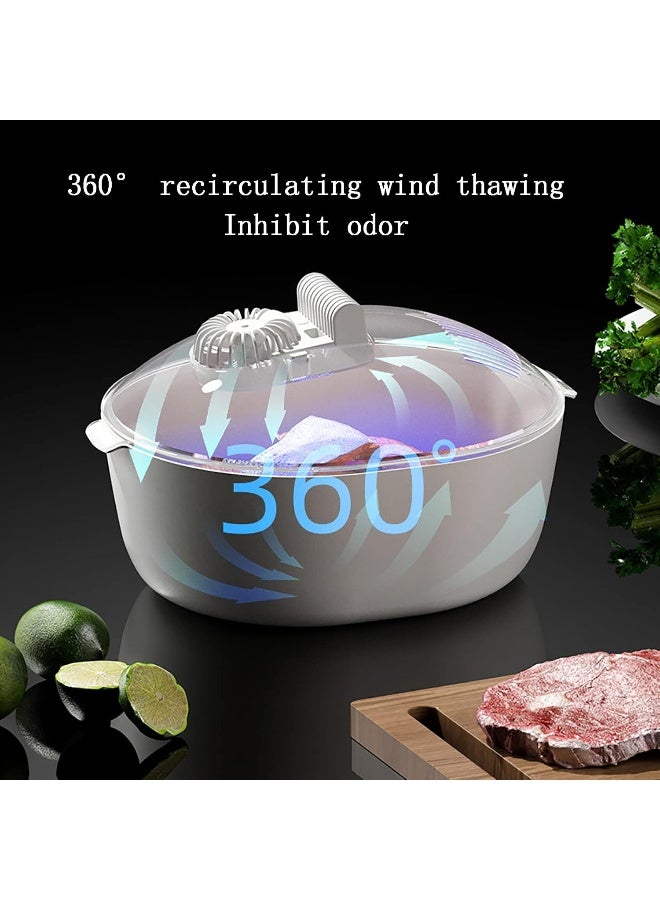 WJYLM Fast Defrosting Tray, Thaw Defrosting Tray Box, 360° Circulating Air Thawing, Rapid Thawing Plate for Fast Defrosting Frozen Food Without Heating, for Meat Pork Beef Fish - Image 2