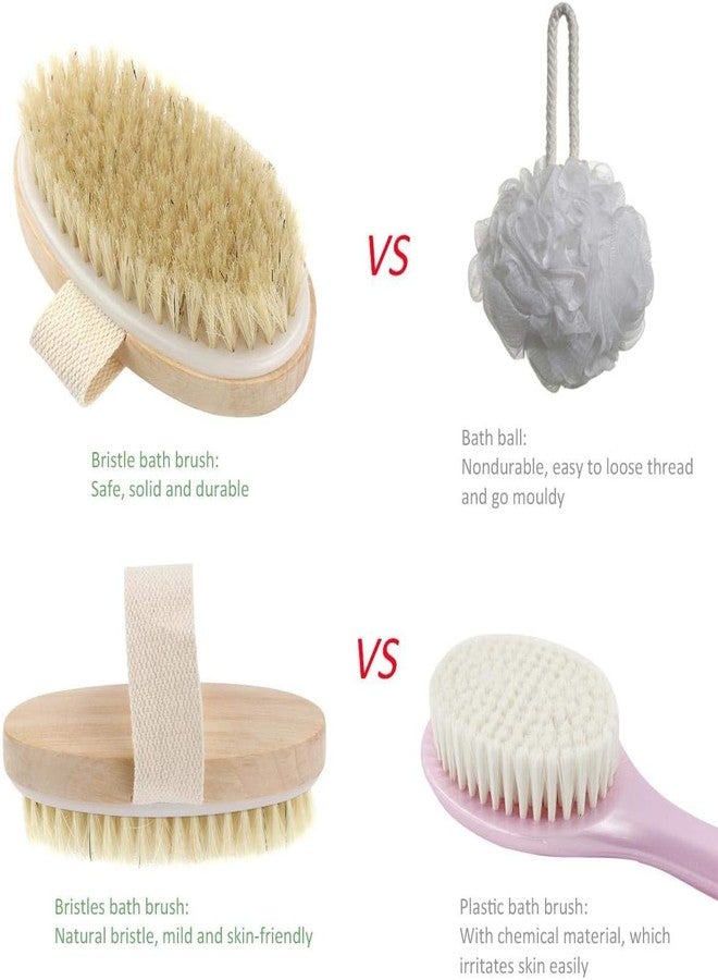 Dhrumino Natural Bristle Dry Body Brush for Exfoliation & Lymphatic Massage | Removes Dead Skin & Toxins | Improves Circulation | Wooden Handle Bath Brush for Smooth & Glowing Skin - Image 5