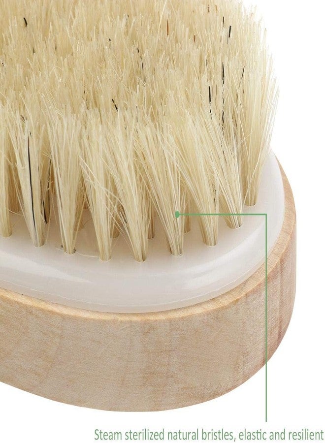 Dhrumino Natural Bristle Dry Body Brush for Exfoliation & Lymphatic Massage | Removes Dead Skin & Toxins | Improves Circulation | Wooden Handle Bath Brush for Smooth & Glowing Skin - Image 4
