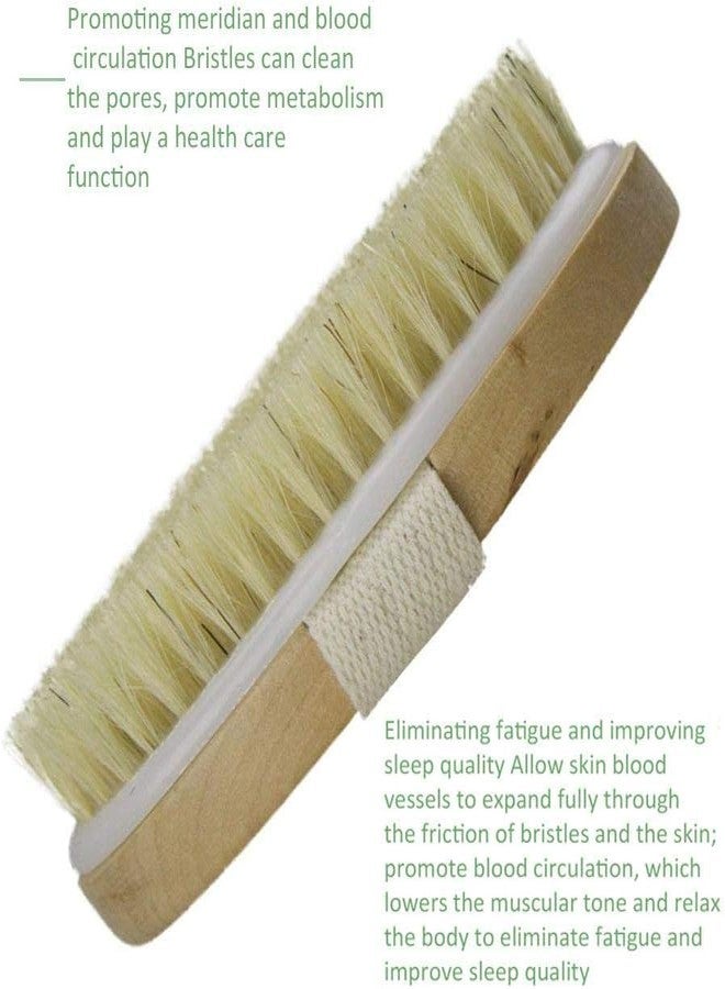 Dhrumino Natural Bristle Dry Body Brush for Exfoliation & Lymphatic Massage | Removes Dead Skin & Toxins | Improves Circulation | Wooden Handle Bath Brush for Smooth & Glowing Skin - Image 3