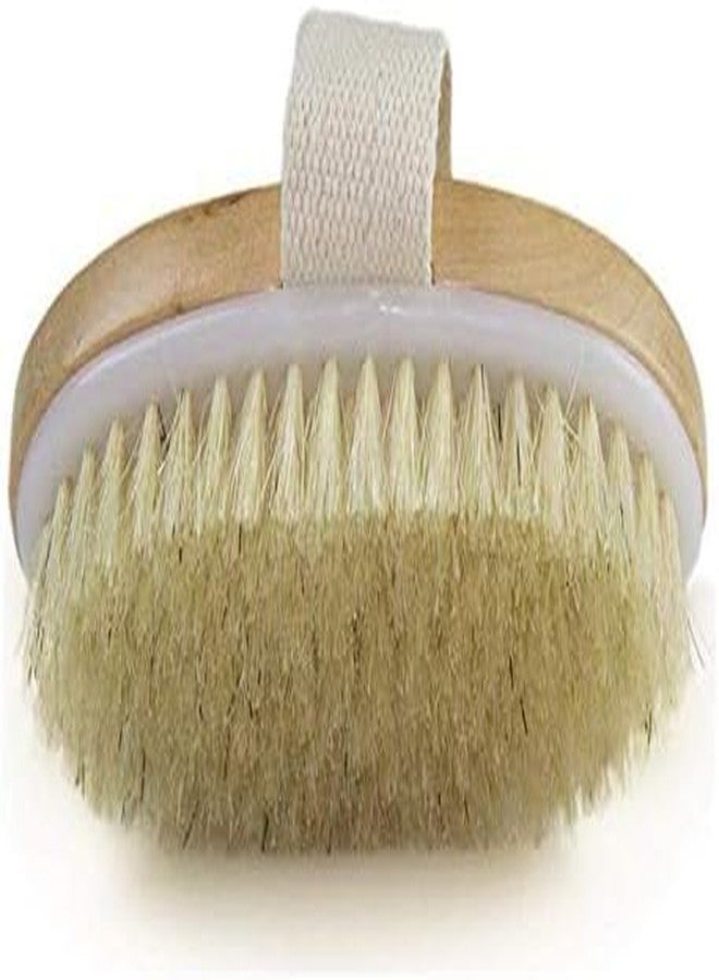 Dhrumino Natural Bristle Dry Body Brush for Exfoliation & Lymphatic Massage | Removes Dead Skin & Toxins | Improves Circulation | Wooden Handle Bath Brush for Smooth & Glowing Skin - Image 2
