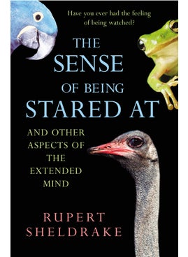 Sense Of Being Stared At