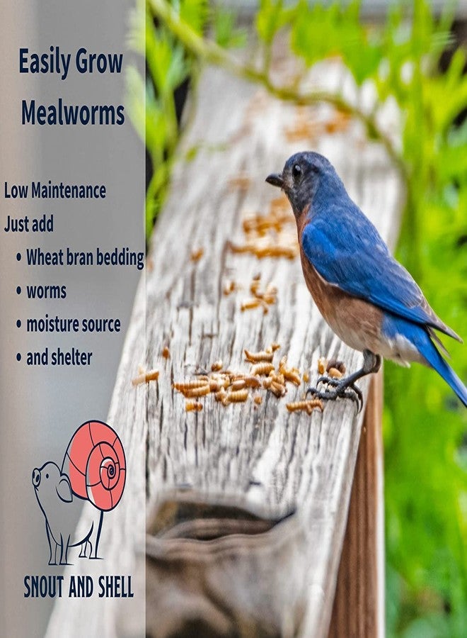 Snout and Shell Mealworm Wheat Bran Bedding and Food Source - Image 5