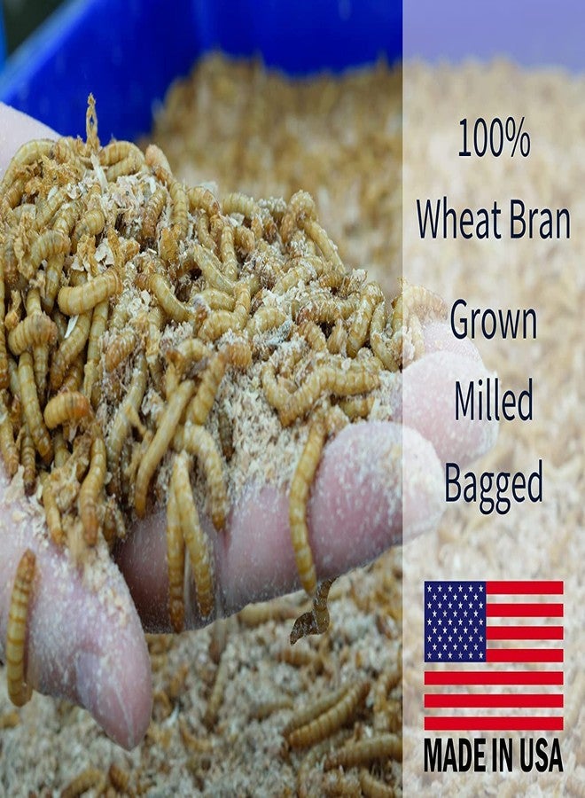 Snout and Shell Mealworm Wheat Bran Bedding and Food Source - Image 4