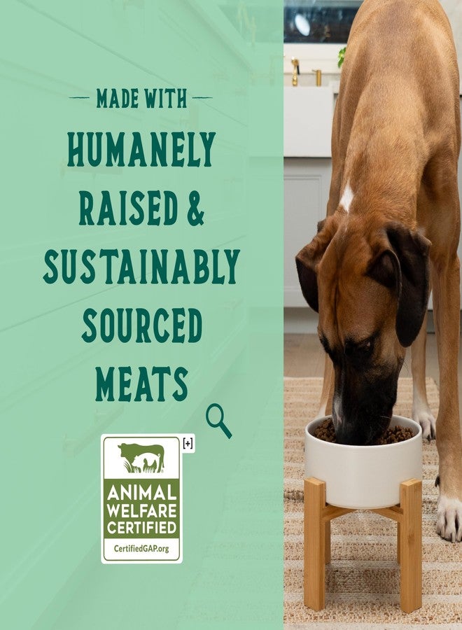 Open Farm أوبن فارم جودبول، طعام جاف للكلاب مخبوز في الفرن بكميات صغيرة - وصفة دجاج الحصاد والأرز البني، يحتوي على منتجات وحبوب غير معدلة وراثيًا، كيس 3.5 رطل (كيس 56 أونصة) - Image 3