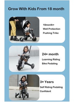 Baby Foldable Tricycle 7 in 1 Trike for Toddlers Age 1.5-5 with Push Handle for Kids(Panda Black) - pzsku/ZC325598C02ACB129E3AFZ/45/_/1652709433/32d95cef-21db-46eb-bdcd-a8a7ae9c2811